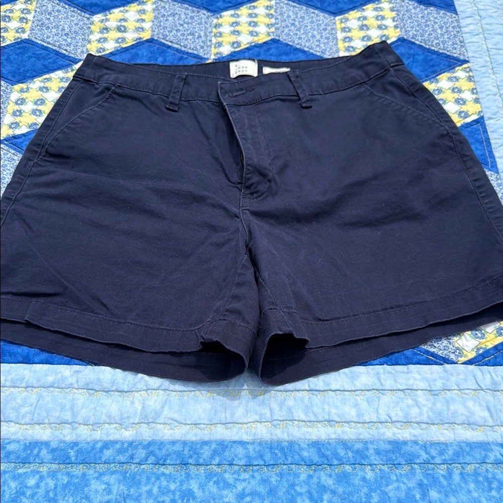Navy Blue Casual Shorts